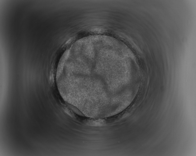 X0000086730576200705111617