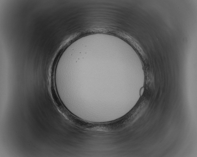X0000086730578200705111616