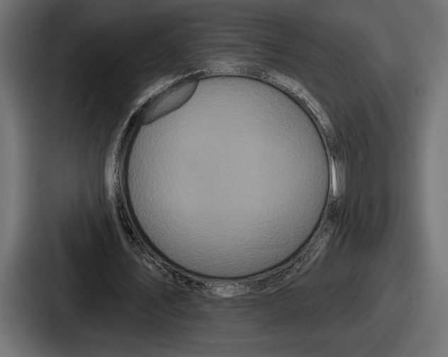 X0000086730579200705111616