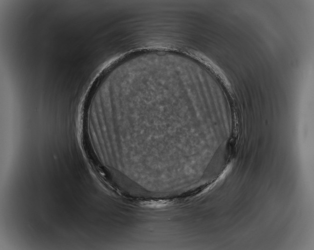 X0000086730580200705111616