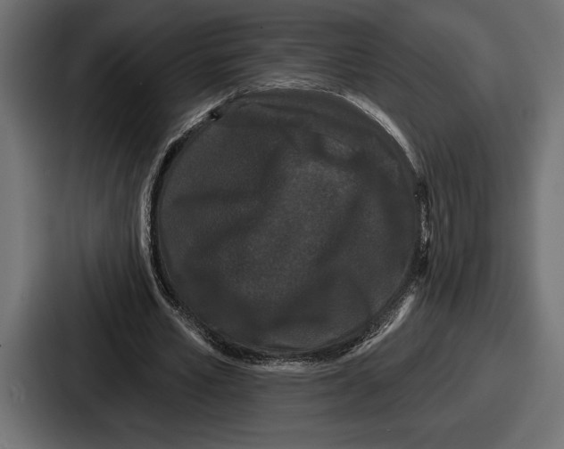 X0000086730581200705111616