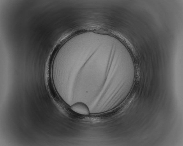 X0000086730582200705111616