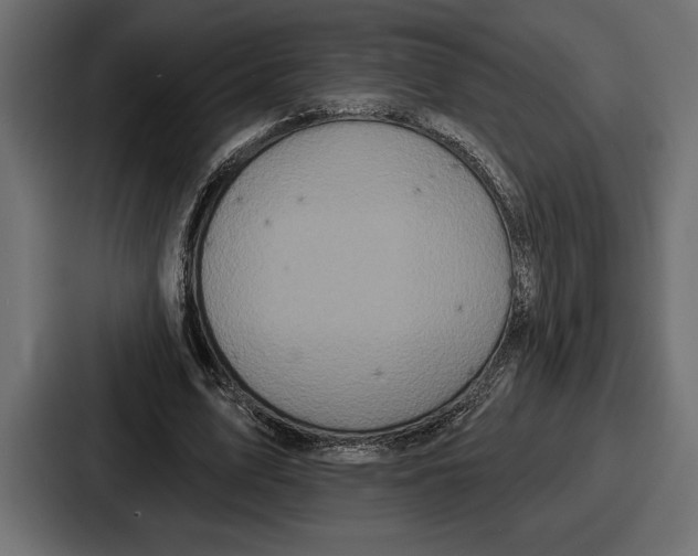 X0000086730583200705111616