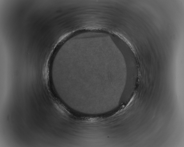 X0000086730584200705111616