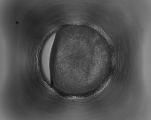 X0000086730585200705111616