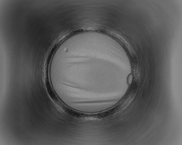 X0000086730586200705111616