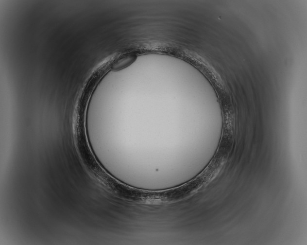 X0000086730587200705111616