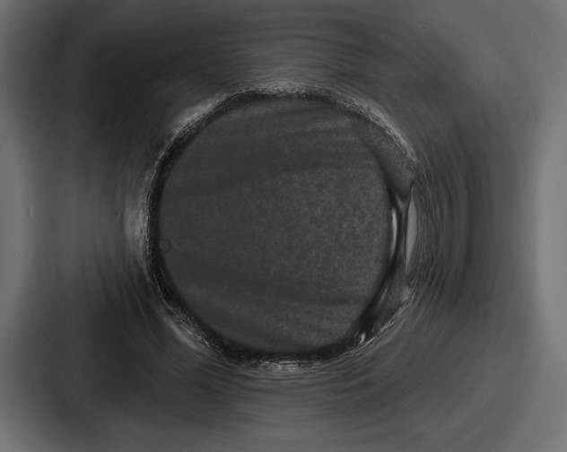 X0000086730588200705111616