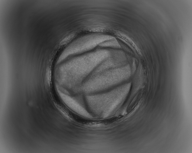X0000086730589200705111616