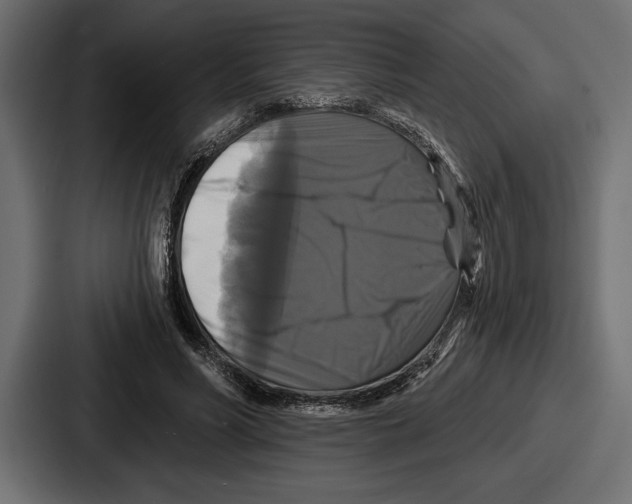 X0000086730590200705111616