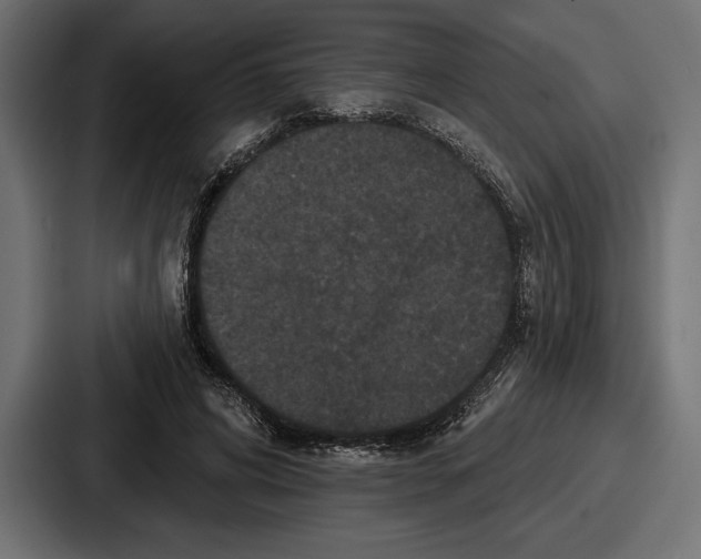 X0000086730592200705111616