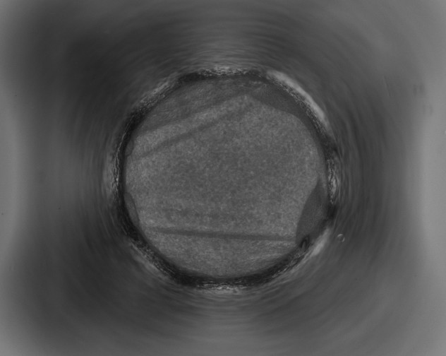 X0000086730593200705111616
