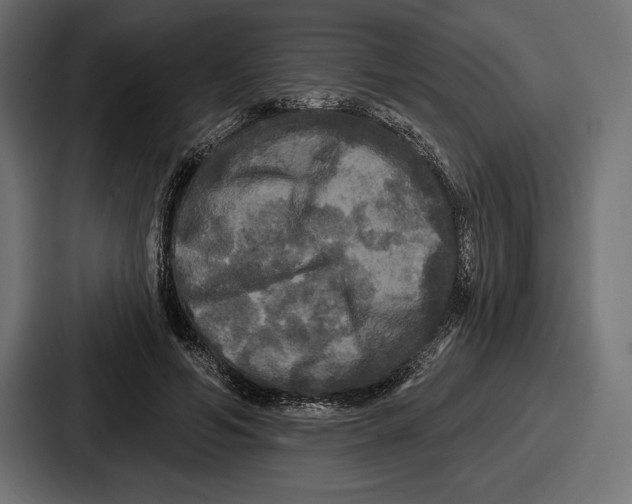 X0000086730594200705111616