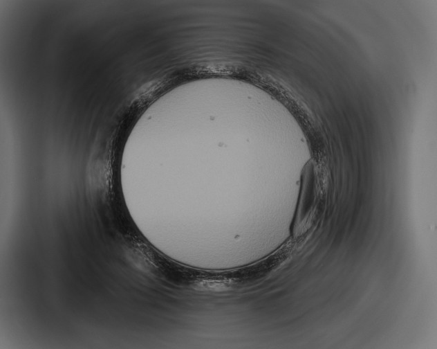 X0000086730595200705111616