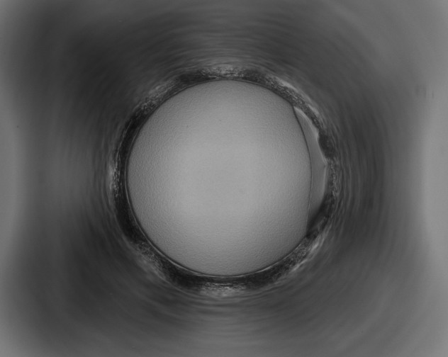 X0000086730597200705111616