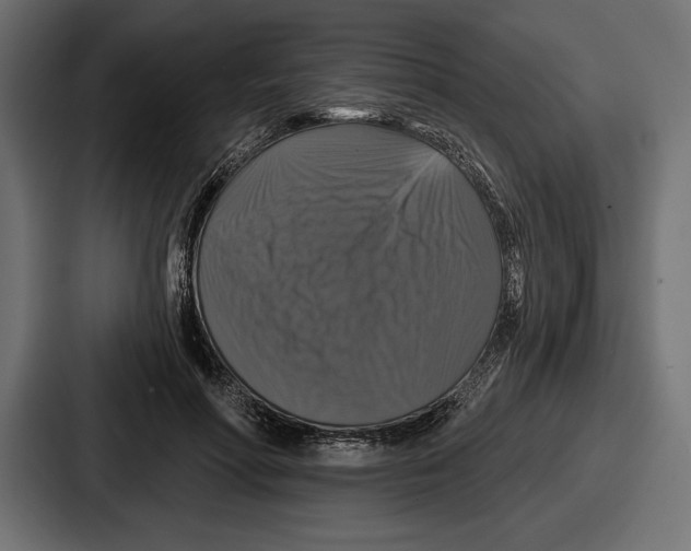 X0000086730598200705111616