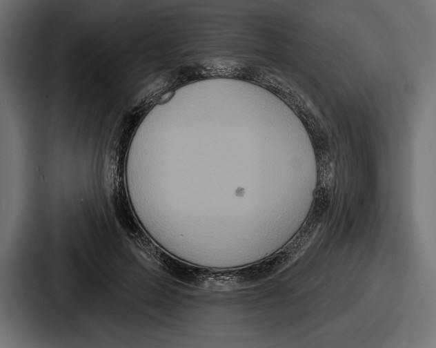 X0000086730599200705111616
