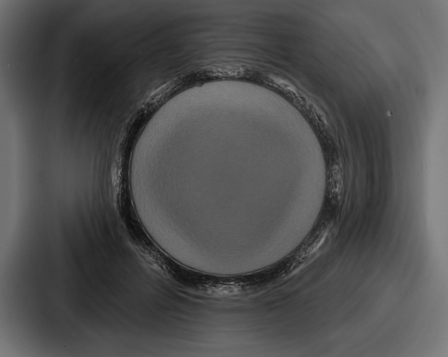 X0000086730600200705111616