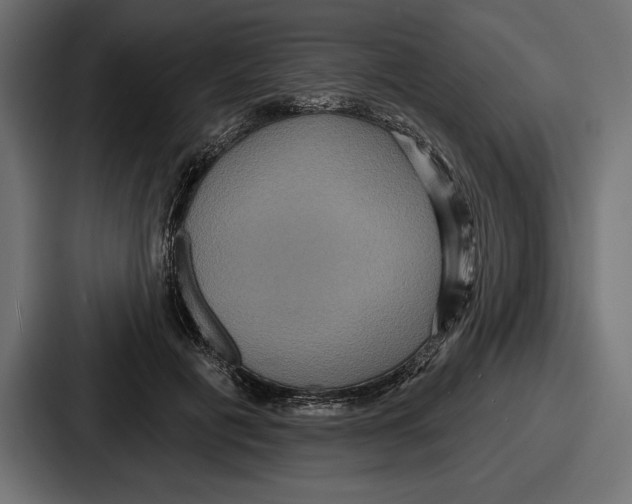 X0000086730601200705111616