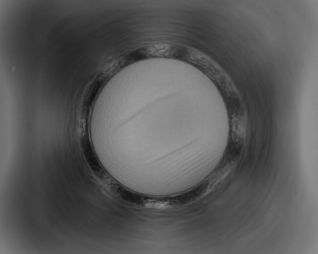 X0000086730602200705111616