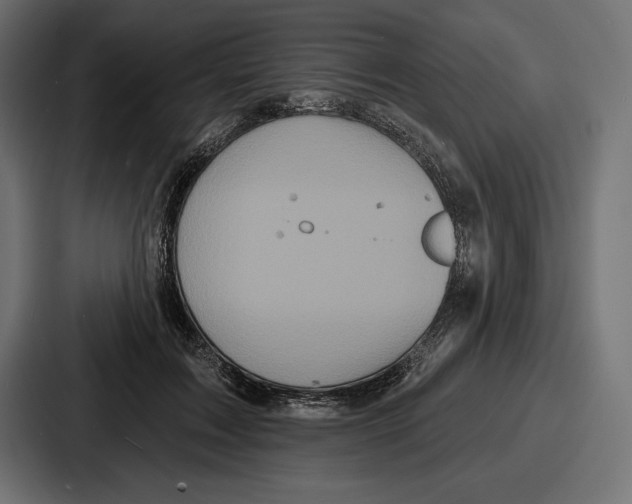 X0000086730603200705111616