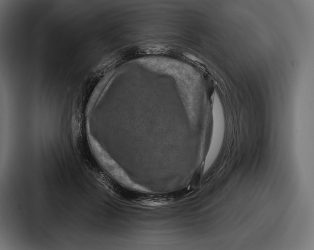 X0000086730604200705111616