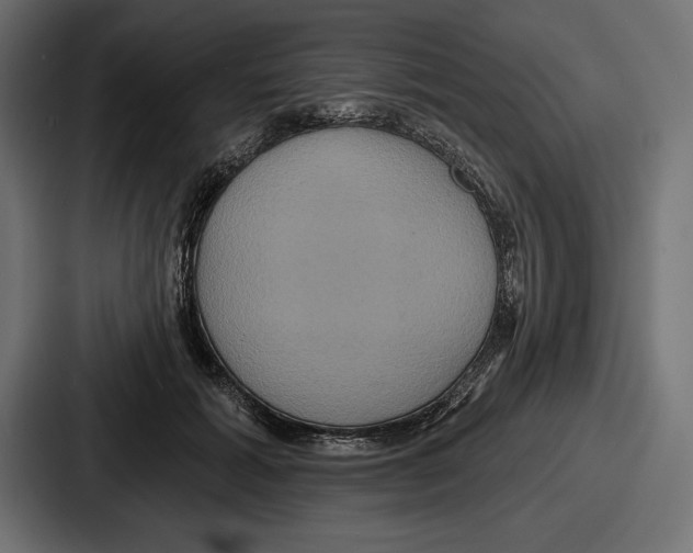 X0000086730605200705111616