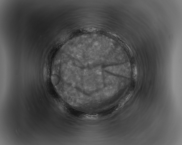 X0000086730606200705111616