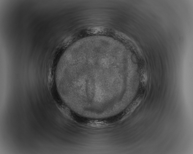 X0000086730607200705111616