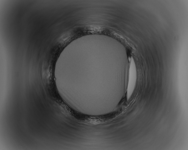 X0000086730608200705111616