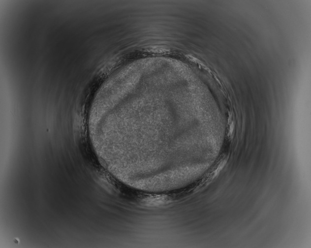 X0000086730609200705111616