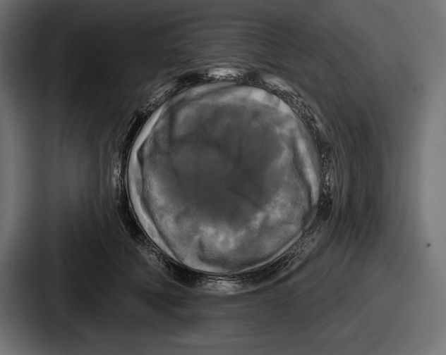 X0000086730610200705111616