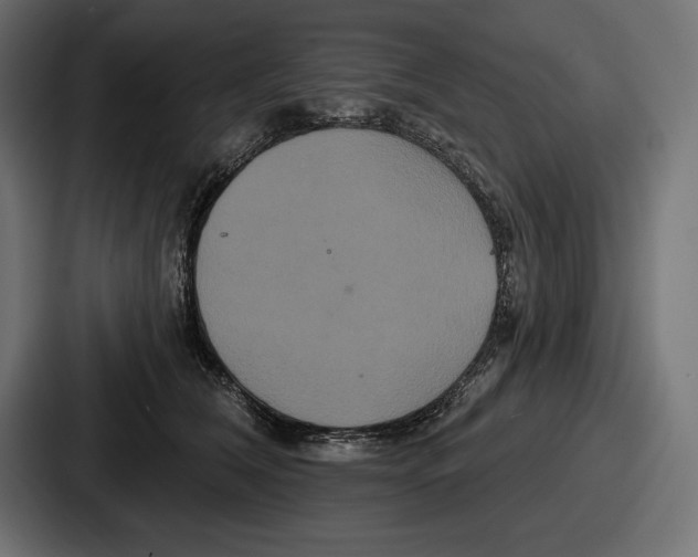 X0000086730612200705111616