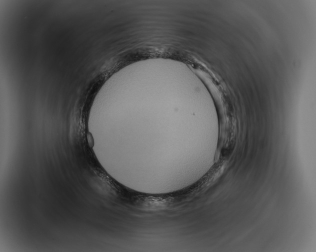 X0000086730613200705111616