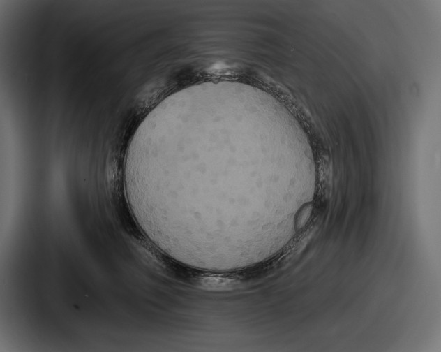 X0000086730614200705111616