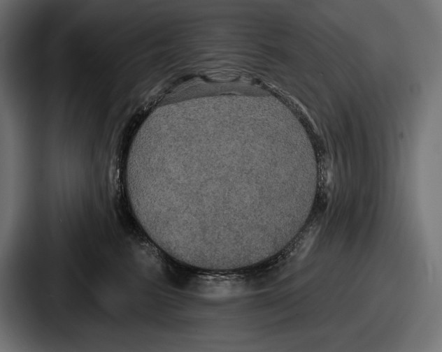 X0000086730615200705111616