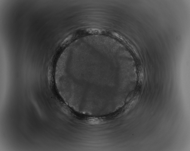 X0000086730616200705111616