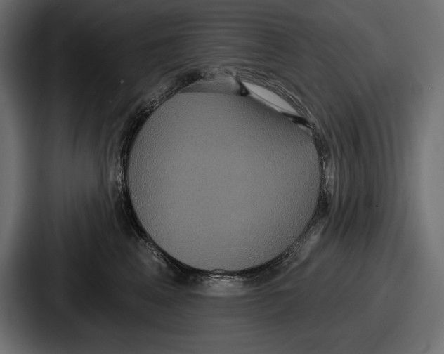 X0000086730617200705111616