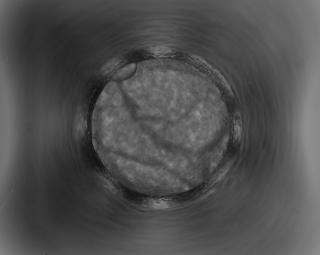 X0000086730618200705111616