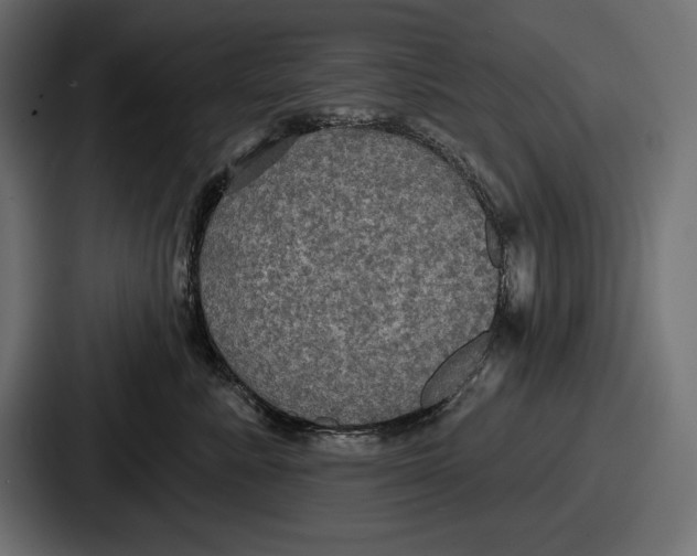 X0000086730619200705111616