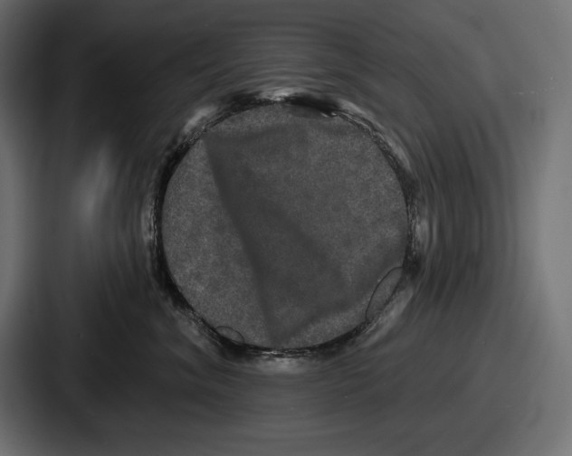 X0000086730620200705111616