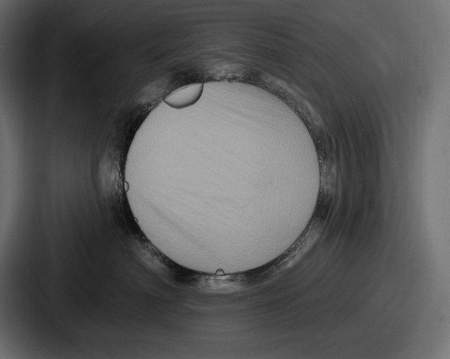 X0000086730622200705111616