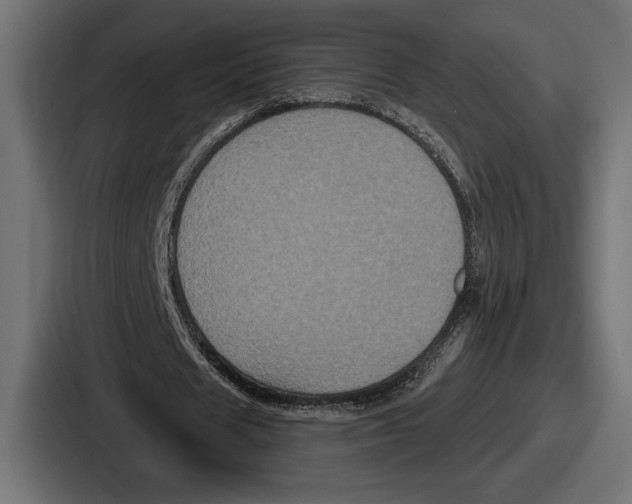X0000086730625200705111615