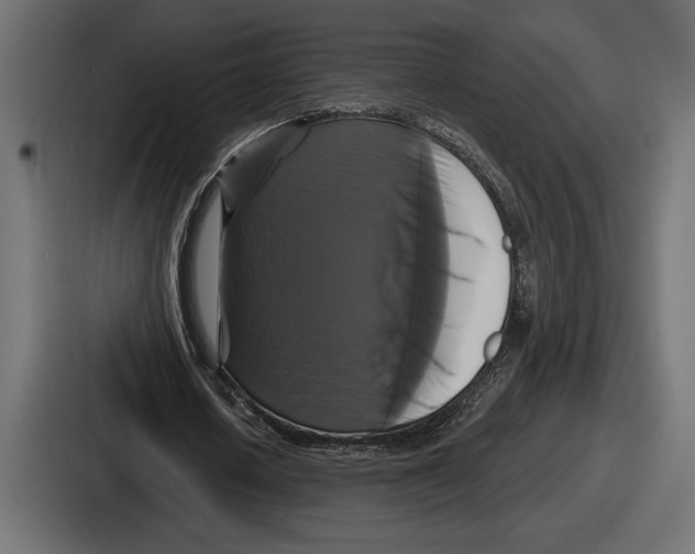 X0000086730626200705111615