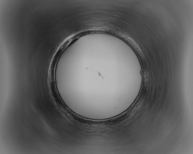 X0000086730628200705111615