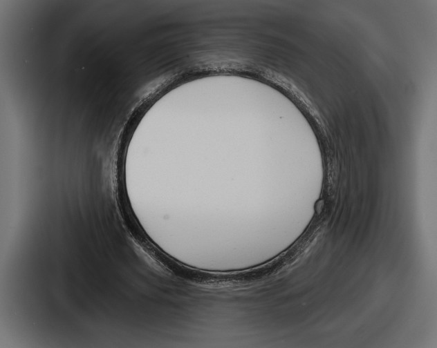X0000086730629200705111615