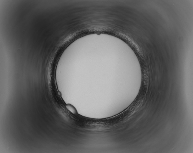 X0000086730631200705111615