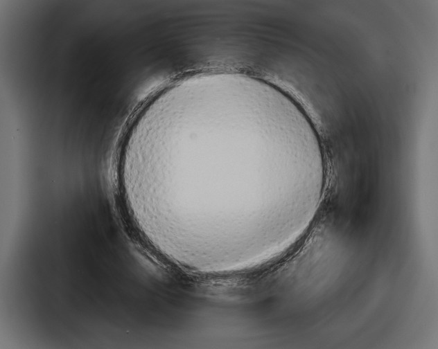 X0000086730632200705111615