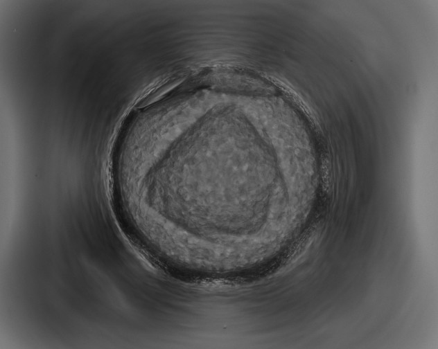 X0000086730634200705111615