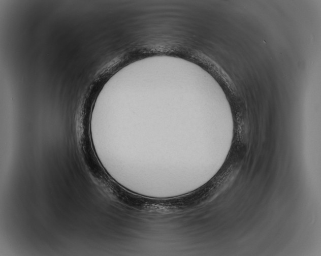 X0000086730635200705111615